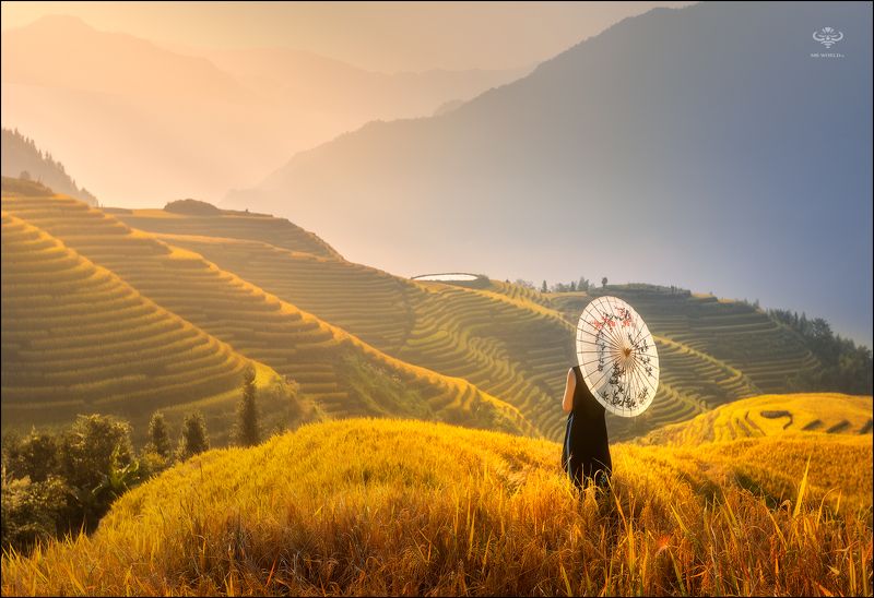 Китай, пейзаж, фототур Рисовые террасы Китаяphoto preview