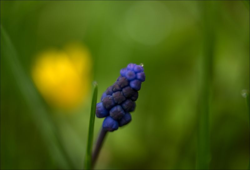 Взгляд на первые майские деньки через Гелиосphoto preview