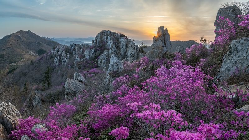 mountain, tree, nature, clouds, spring, flowers, sunrise Rabbit Rock in Jujaksanphoto preview