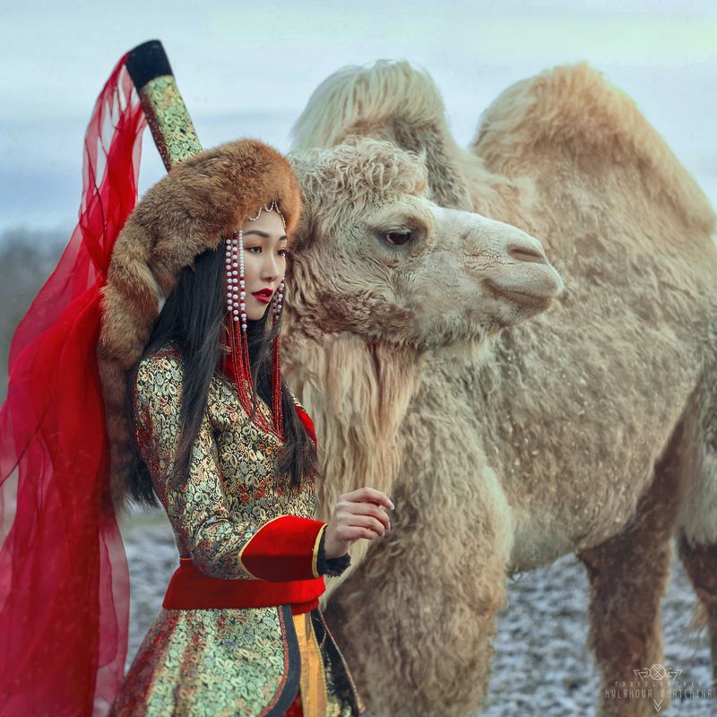 народы, традиции, культура, девушка, бурятия, животные, верблюд, зима, красный Buryat girlphoto preview