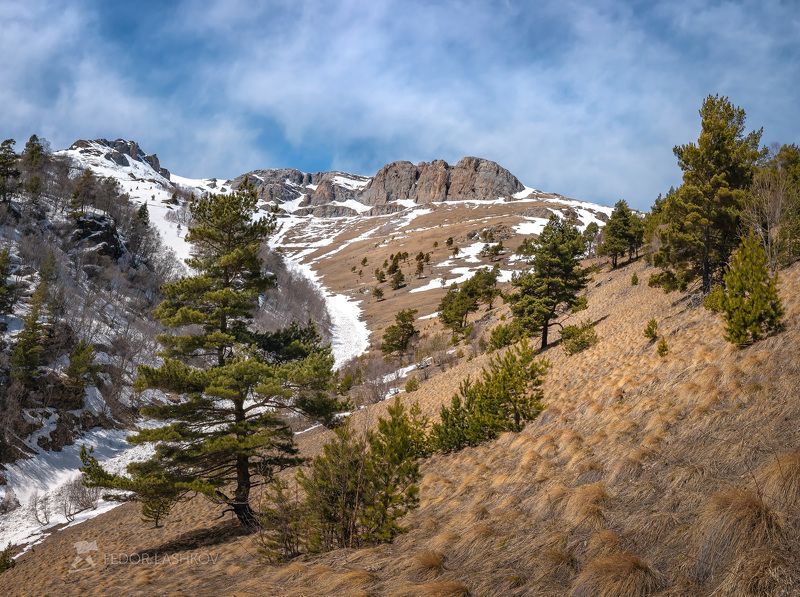 северный кавказ, горы, гора, вершина, путешествие, весна, крокус, днём, сосна, деревья, скалы, лес, скальное, долина реки, архыз, степь, трава, весенний, снег, апрель, Апрельский день в горахphoto preview