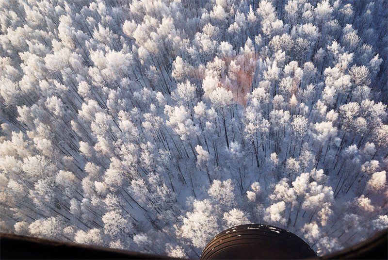 лес, иней, вертолет, зима Отражается небо в лесу как в воде...photo preview