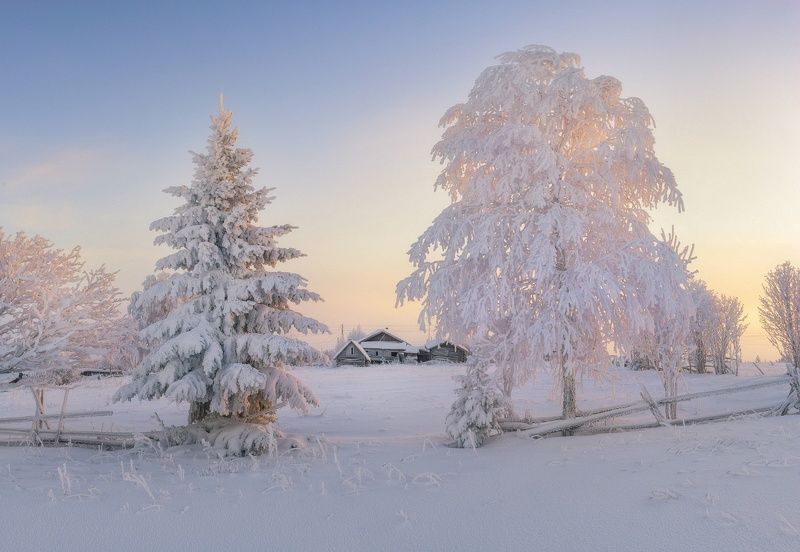 Красота зимнего утра