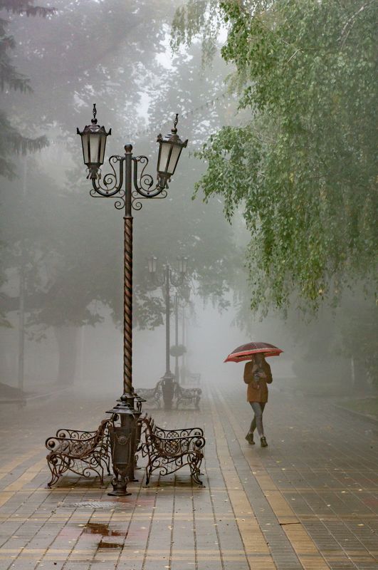 туман, город, улица, стрит, дождь, зонт Под зонтомphoto preview