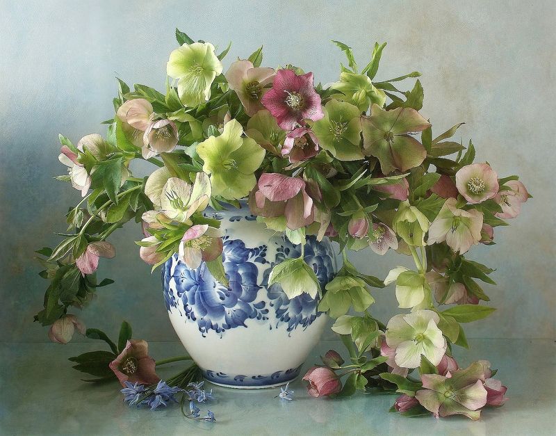 натюрморт, цветы, морозник, весна, марина филатова Согретые дыханием апреляphoto preview