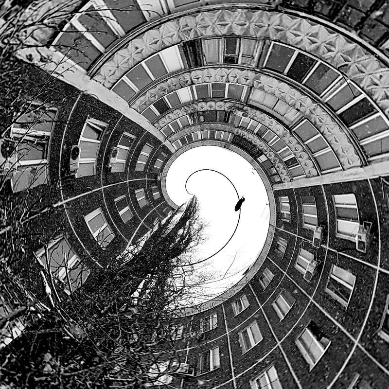 swirling building, building, b&w, abstract, abstraction, bird \