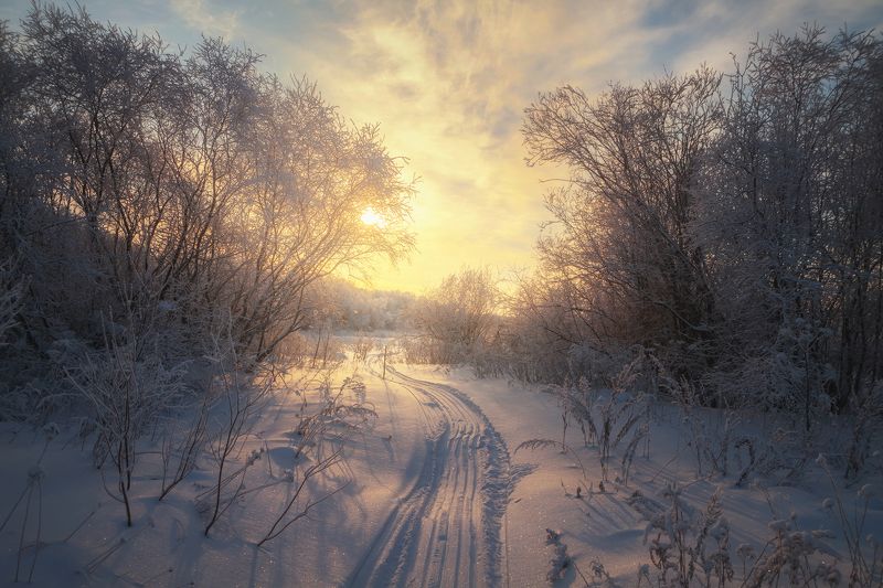 зима, иней, мороз, кусты, поле, следы, закат Frozen sunlightphoto preview