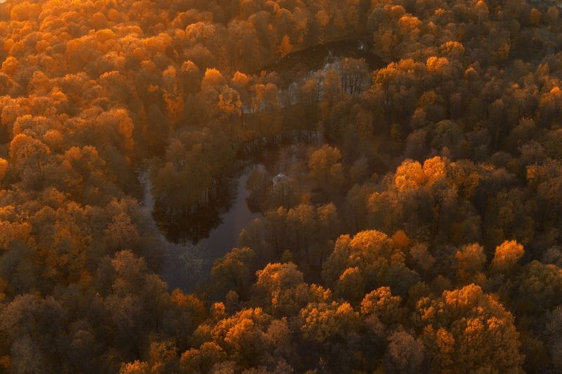 Осень в парке