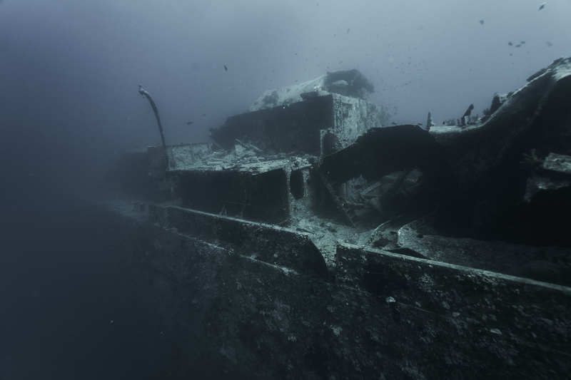 дайвинг, подводное фото, тистельгорм Тистельгормphoto preview