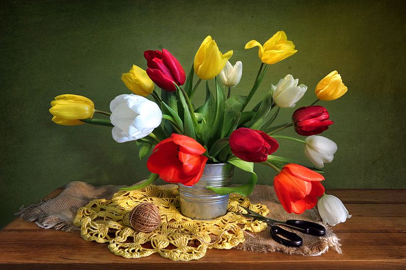 натюрморт,тюльпаны,салфетка,ножницы,ведро Тюльпаныphoto preview