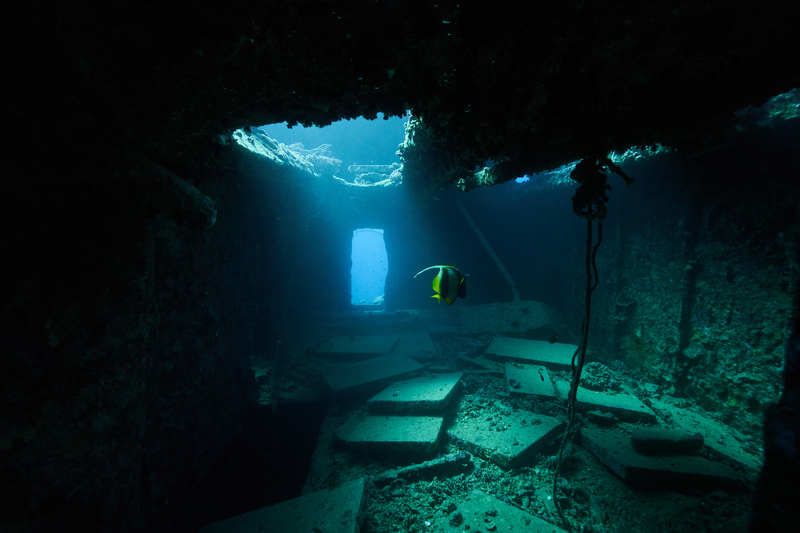дайвинг, подводное фото, тистельгорм Тистельгормphoto preview