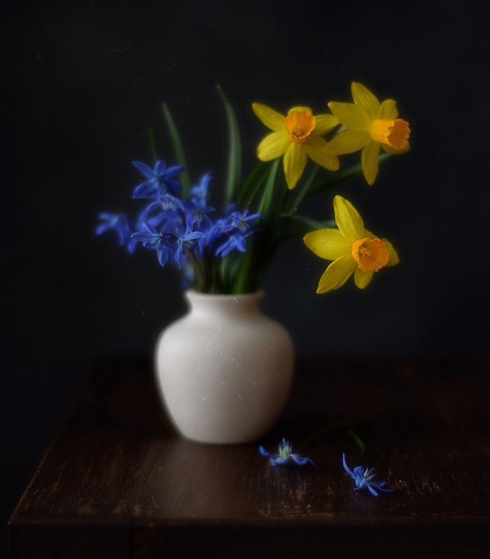 натюрморт,композиция,весна,цветы,сцилла,нарцисс Весна...photo preview
