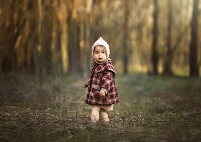 девочка, ребенок, дети, корея, лес, girl, korean, forest, woods, forest, kids, children, baby A step into springphoto preview