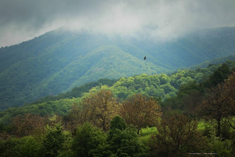 горы,пейзаж,природа,дагестан,marat_magov, Горный пейзаж..photo preview