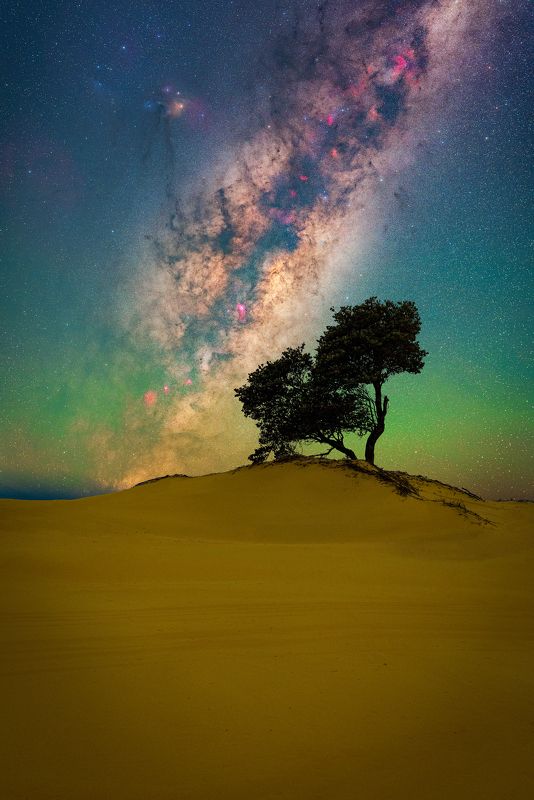 #australia #love #dunes #milkyway #night #stars #nightscape #nightsky  Standing Tallphoto preview