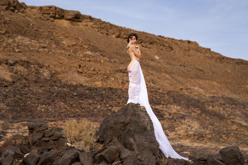 attractive, beautiful woman, desert, dreaminess, dry, elegance, female, femininity, grace, individuality, look, makhtesh ramon, model, naked, nude, one person, outdoors, pose, rocks, sensuality, side view, sky, standing, stones, tattoo, veil, woman Flower in the Desertphoto preview