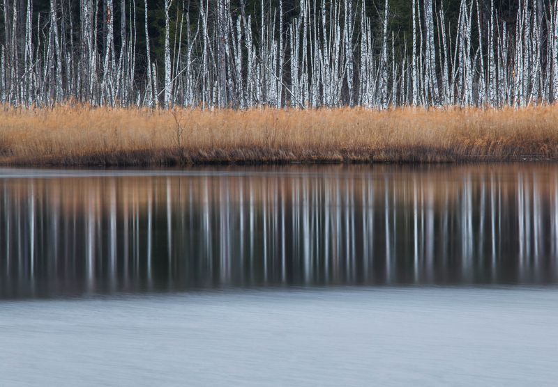 болото, весна, карелия, березы, лед ,вода, отражение, пейзаж, север Болотный минимализмphoto preview