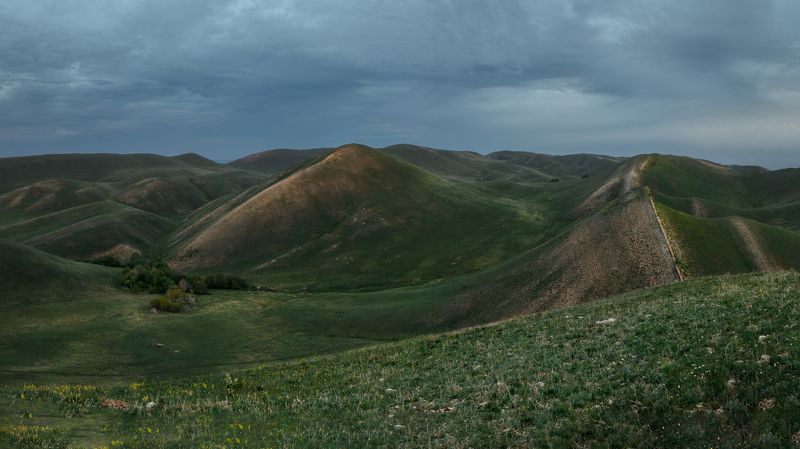 Бархат Долгих гор