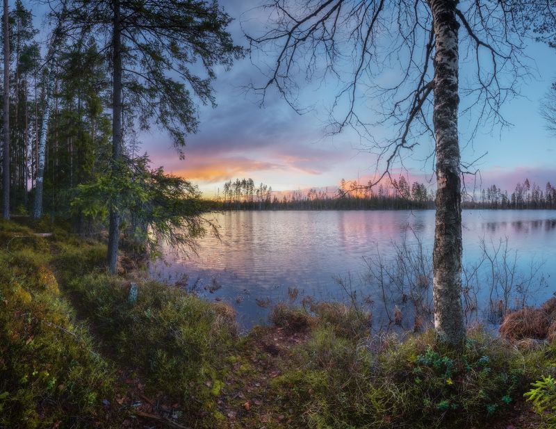 лес, озеро, закат ***photo preview