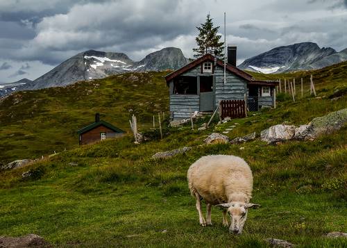 Там,в далёких норвежских горах...