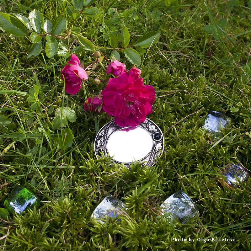 травы, роза, зеркальце, стеклышки Феечкины секретикиphoto preview
