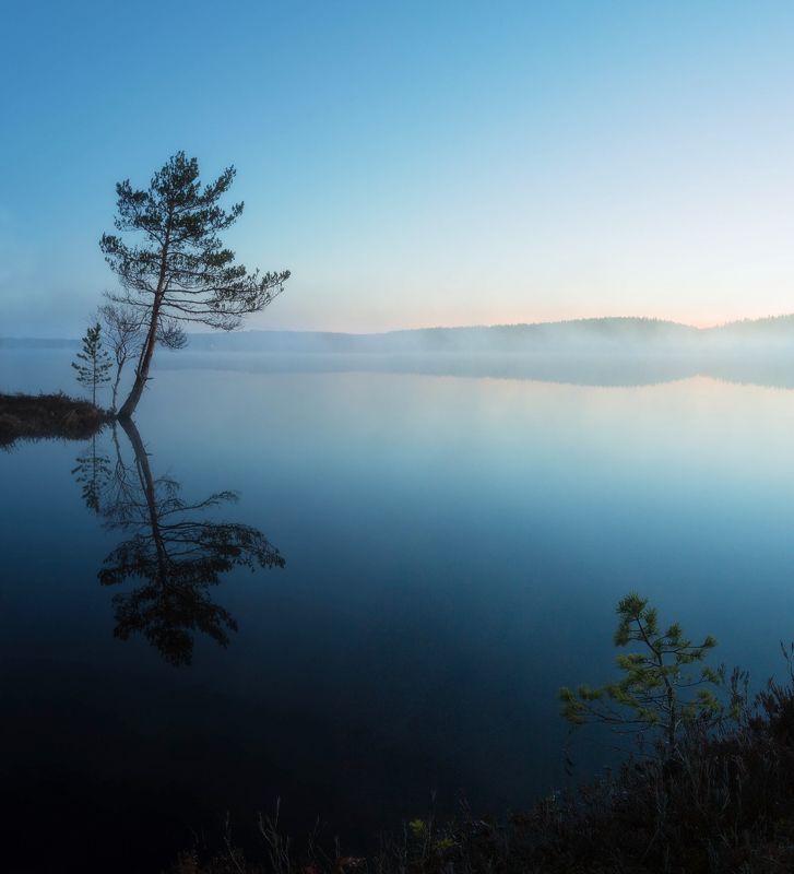 озеро, весна, туман ,дерево, утро, силуэт, карелия, природа, пейзаж, отражение За час до восхода солнцаphoto preview