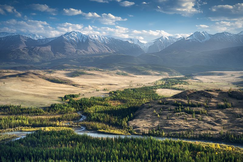 пейзаж, панорама, природа, красивая, широкий, высокий, большой, горы, вершины, хребет, Северо-Чуйский, Алтай, Сибирь, Чуя, река, долина, лес, степь, холмы, утро, раннее, желтый, зеленый Долина реки Чуяphoto preview