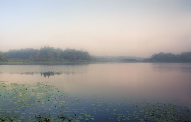 озеро кувшинки туман рассвет Мелодия утреннего света...photo preview