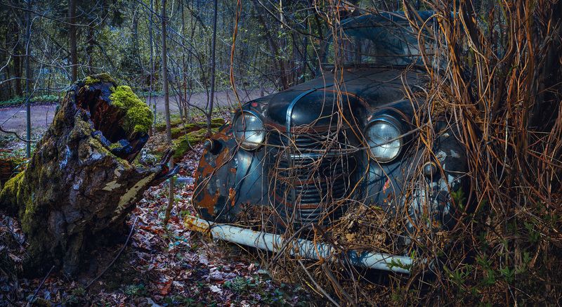 лес, автомобиль, старый, заросли Брошенныйphoto preview