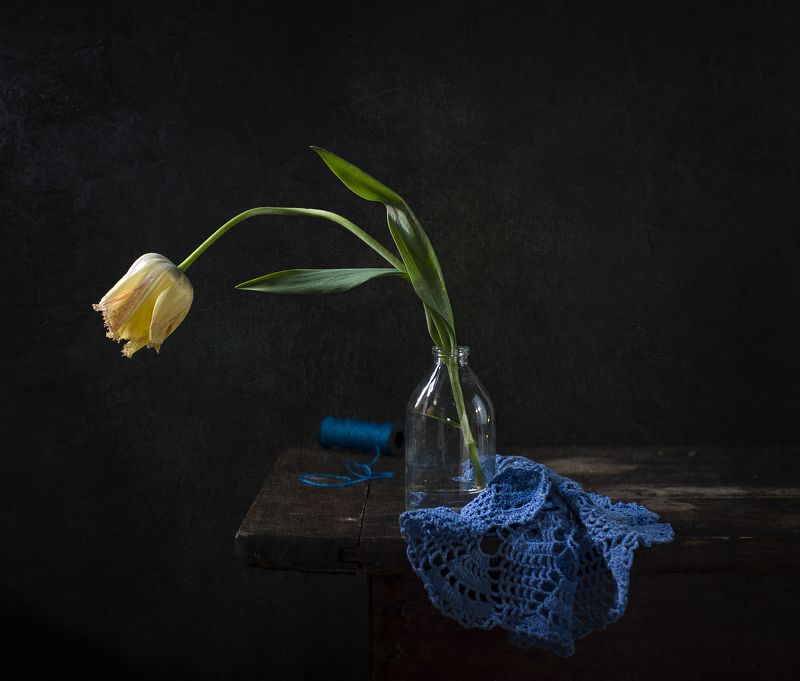 Одинокий тюльпан.photo preview