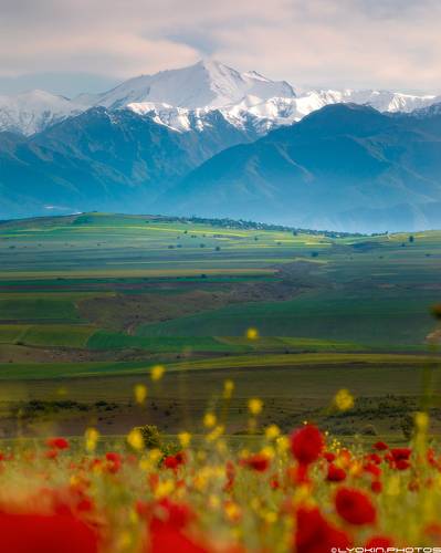 Май в предгорьях Кавказа