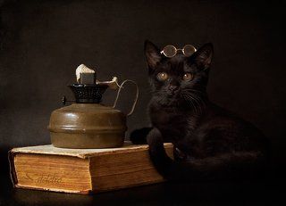 Литературные чтения