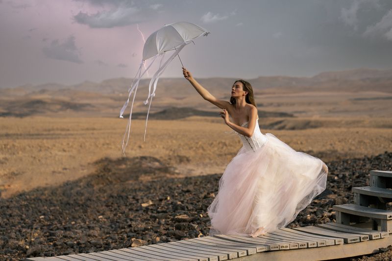 ball gown, beautiful woman, bridge, clouds, creative, desert, dress, fantasy, fashion, female, grace, lightning, looking, makhtesh ramon, one person, outdoors, pose, retro, rocks, side view, skies, stairs, step, stones, umbrella, vintage, walk, woman A Storm is Comingphoto preview