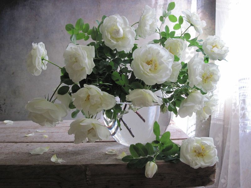 цветы, букет, розы, белый цвет, ваза, стекло Светлячокphoto preview