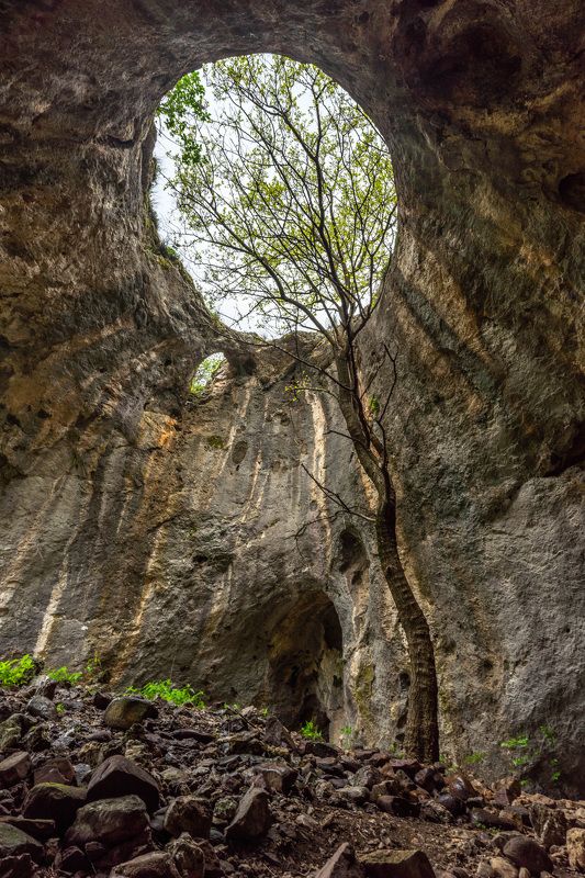 cave nature hiking vertical landscapes tree Botynia photo preview