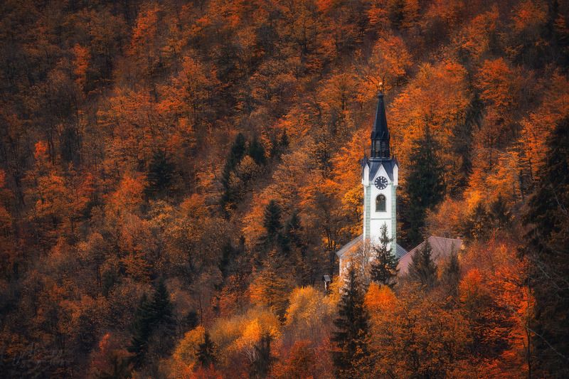 slovenia, outdoor, autumn, red, yellow, trees, church, travel, topview ***photo preview