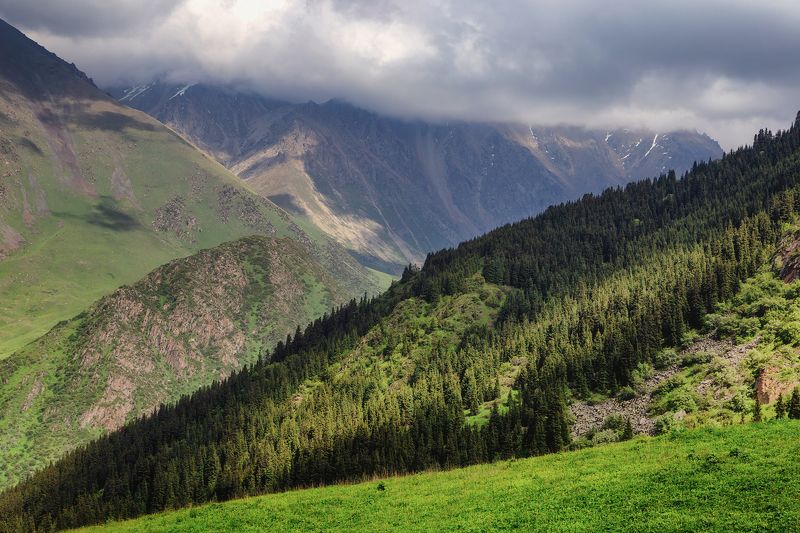 кыргызстан,горы, ала-арча Колорит ущелья Адыгенеphoto preview