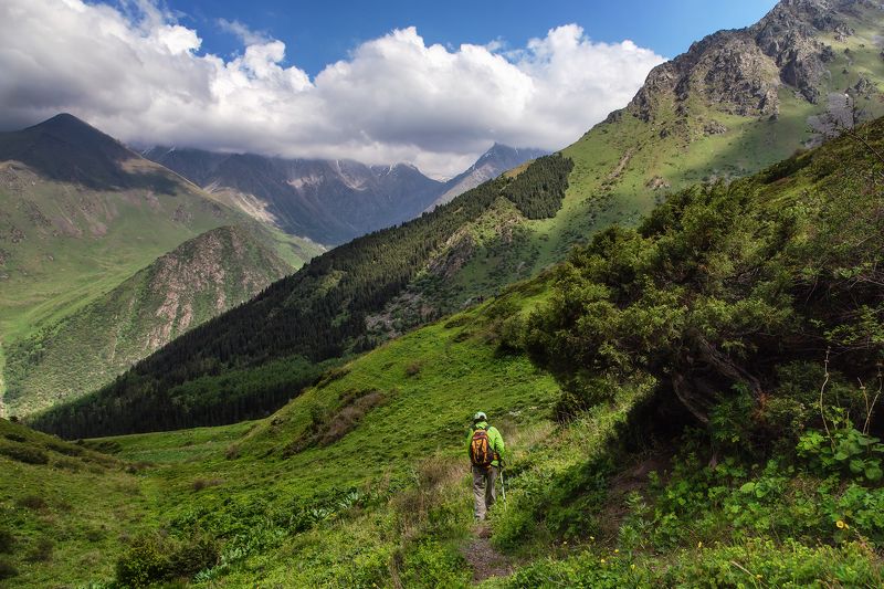 кыргызстан,горы, ала-арча Колорит ущелья Адыгенеphoto preview