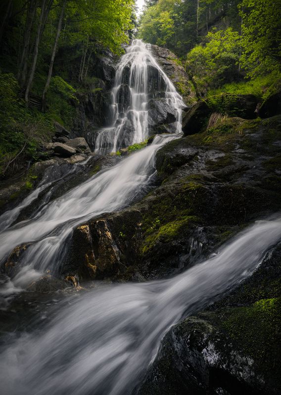 Landscape waterfall spring forest Alps mood italy Waterphoto preview