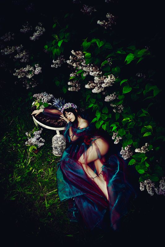 woman, portrait, fashion, beauty, outdoors Lilac Dreams фото превью