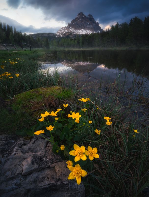 Landscape lake mountain bluehour reflexion Dolomites Italy Primum Verephoto preview