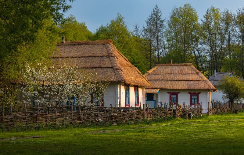 Парк в деревне