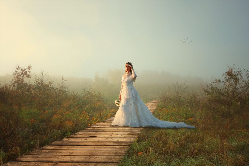 невеста, поле, облака *** фото превью