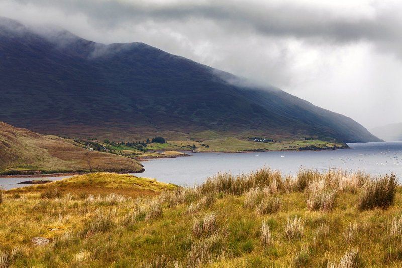 Ирландия, Овцы, Пейзаж, Природа, Торф, Фьорд Killary Fjordphoto preview