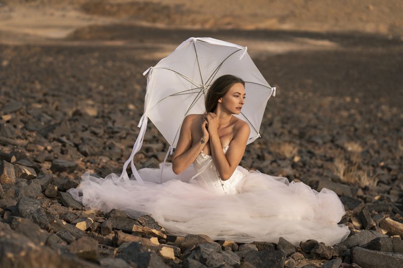 ball gown, beautiful woman, creative, desert, dreaminess, dress, dry, elegance, fantasy, fashion, female, front view, grace, looking, makhtesh ramon, one person, outdoors, portrait, pose, retro, rocks, sitting, stones, umbrella, vintage, woman Far Far Awayphoto preview