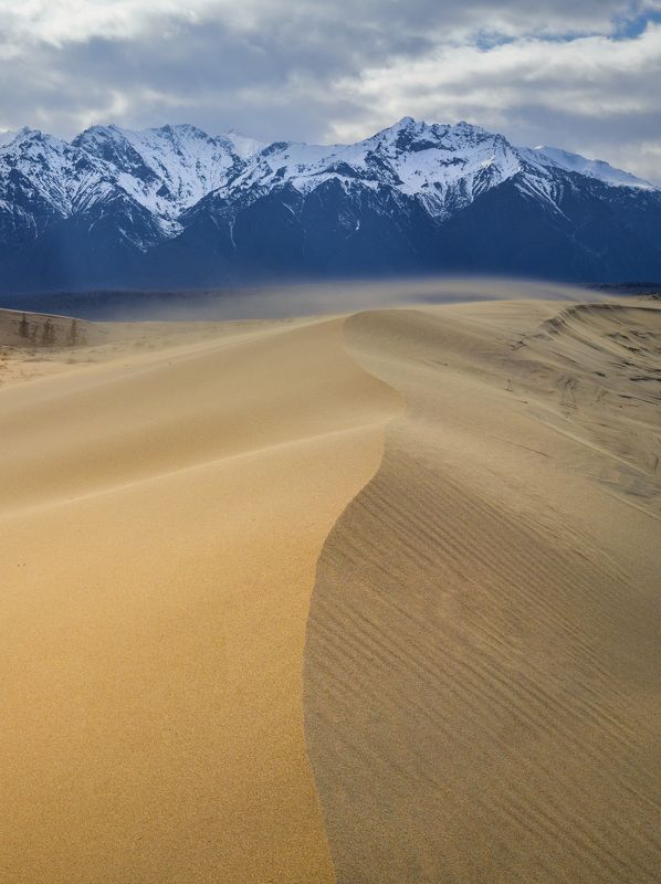 чарские пески, кодар, забайкалье, пустыня, дюна Движение...photo preview