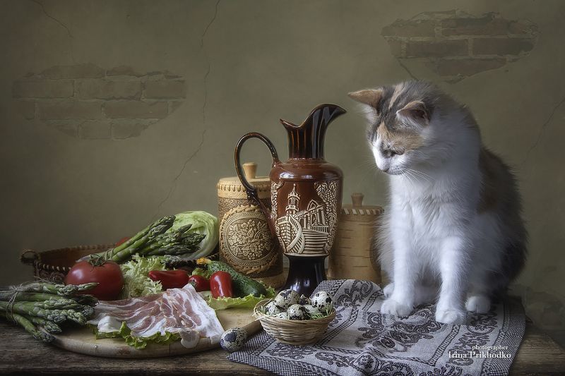 натюрморт, постановочное фото, котонатюрморт, еда, спаржа. бекон, овощи, кошка Как будем готовить? фото превью