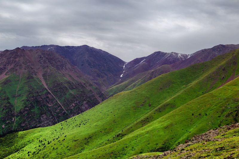 кыргызстан,горы, кель-тор Фиолетовое настроениеphoto preview