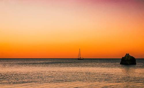 Lone sail. Sunset