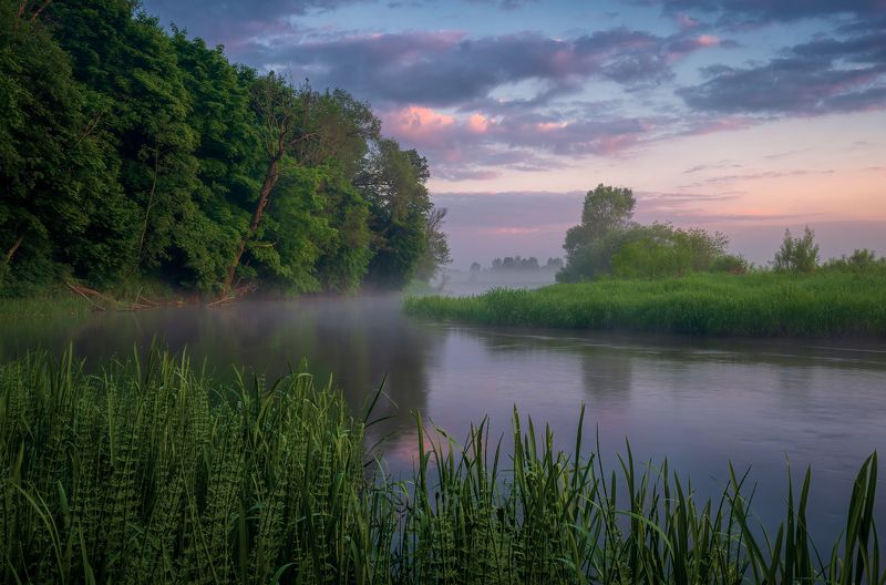 утро, река, лето Тихим утромphoto preview